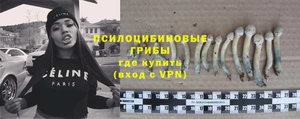 СК Алексин