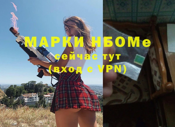 сатива Алзамай