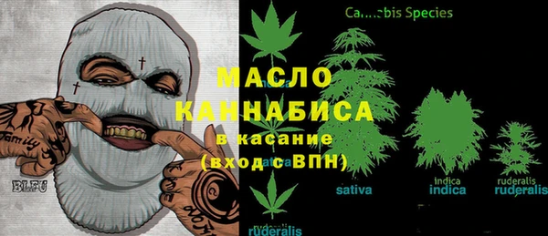 СК Алексин