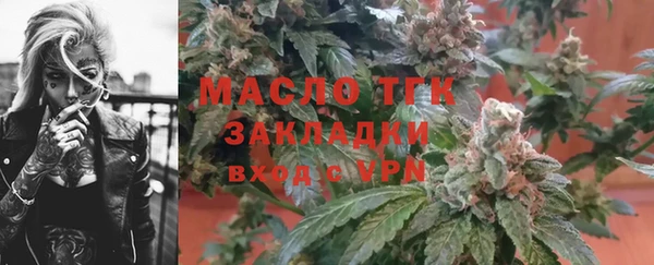 СК Алексин