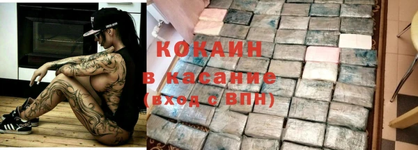 сатива Алзамай