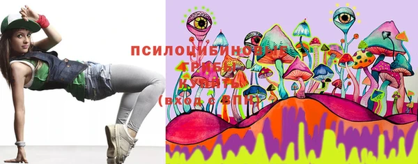 ешки Алексеевка