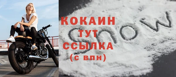 СК Алексин