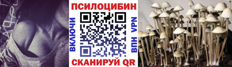 Псилоцибиновые грибы прущие грибы  Стародуб 